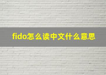 fido怎么读中文什么意思