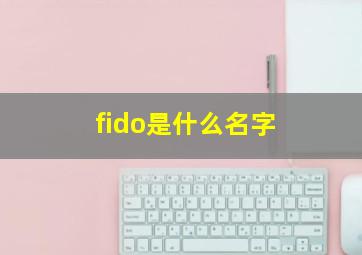 fido是什么名字