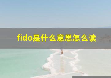 fido是什么意思怎么读