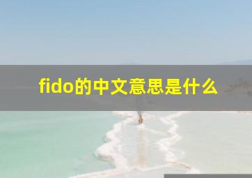 fido的中文意思是什么