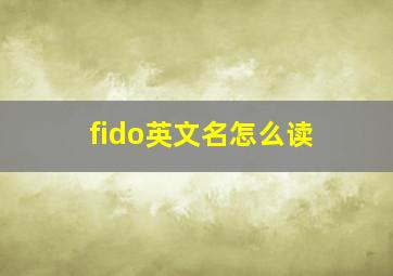 fido英文名怎么读