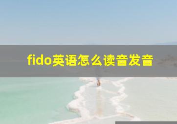 fido英语怎么读音发音