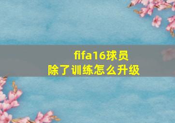 fifa16球员除了训练怎么升级