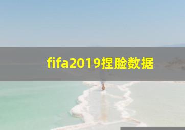 fifa2019捏脸数据