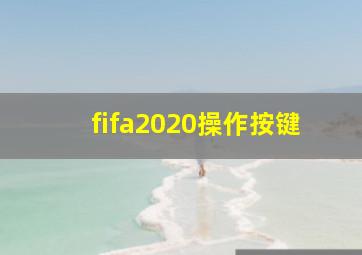 fifa2020操作按键