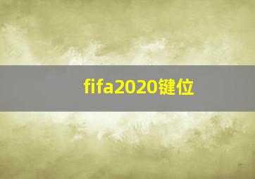 fifa2020键位