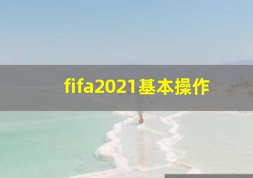 fifa2021基本操作