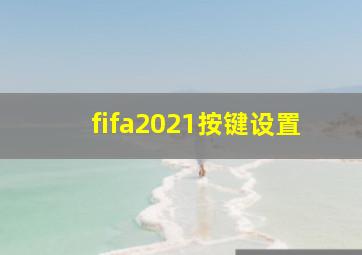 fifa2021按键设置