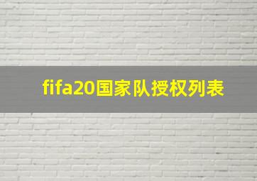 fifa20国家队授权列表