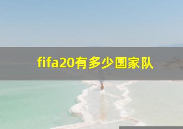 fifa20有多少国家队