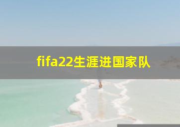 fifa22生涯进国家队