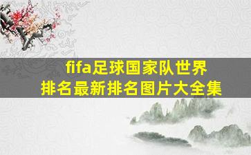 fifa足球国家队世界排名最新排名图片大全集