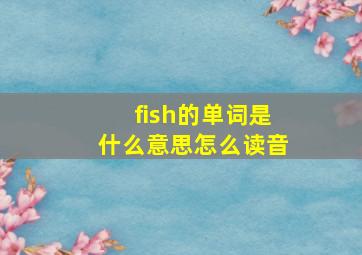 fish的单词是什么意思怎么读音