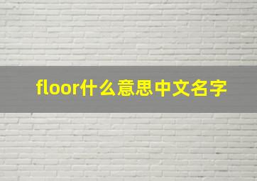 floor什么意思中文名字