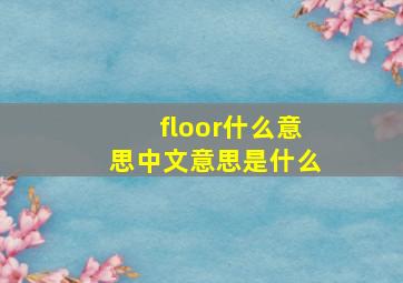 floor什么意思中文意思是什么