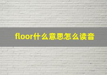 floor什么意思怎么读音