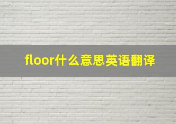 floor什么意思英语翻译