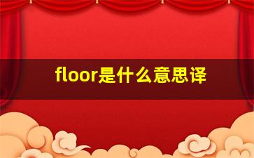 floor是什么意思译