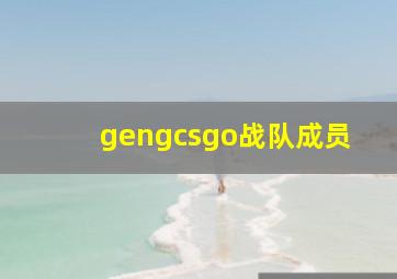 gengcsgo战队成员