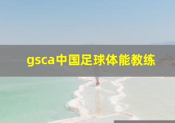 gsca中国足球体能教练