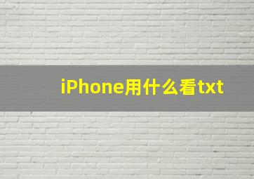 iPhone用什么看txt