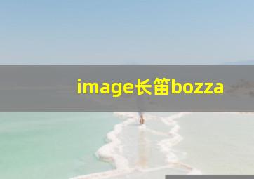 image长笛bozza