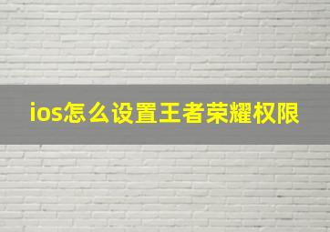 ios怎么设置王者荣耀权限