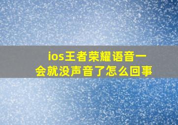 ios王者荣耀语音一会就没声音了怎么回事