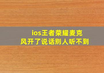 ios王者荣耀麦克风开了说话别人听不到