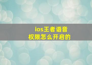 ios王者语音权限怎么开启的