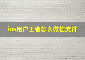 ios用户王者怎么微信支付