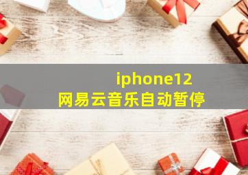 iphone12网易云音乐自动暂停