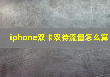 iphone双卡双待流量怎么算