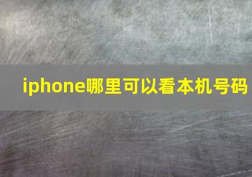 iphone哪里可以看本机号码