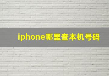 iphone哪里查本机号码