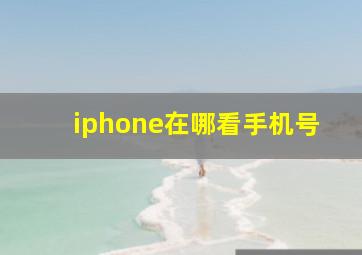 iphone在哪看手机号