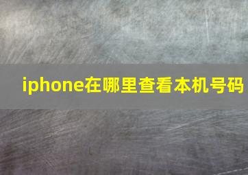 iphone在哪里查看本机号码