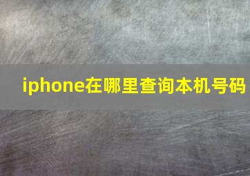 iphone在哪里查询本机号码