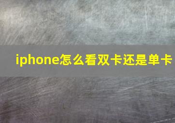 iphone怎么看双卡还是单卡