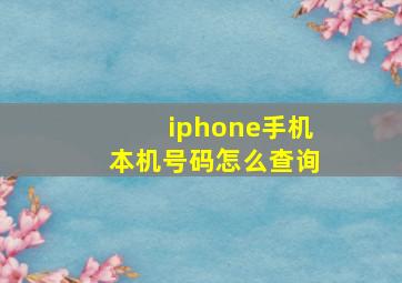 iphone手机本机号码怎么查询