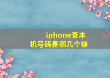 iphone查本机号码是哪几个键