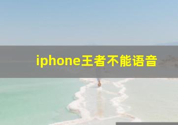 iphone王者不能语音