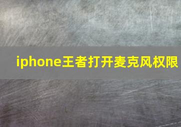 iphone王者打开麦克风权限