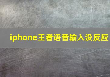 iphone王者语音输入没反应