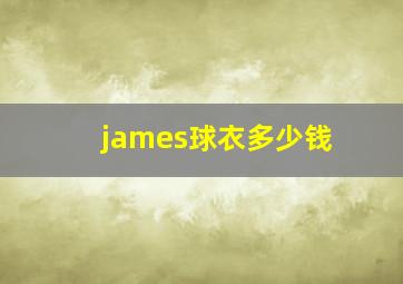 james球衣多少钱