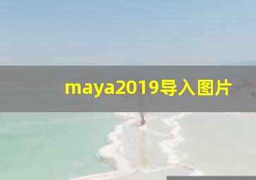 maya2019导入图片