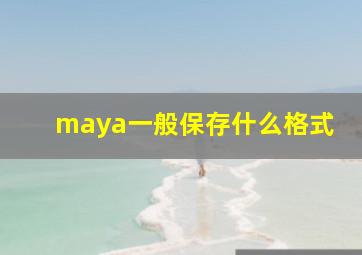 maya一般保存什么格式