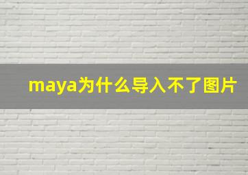 maya为什么导入不了图片