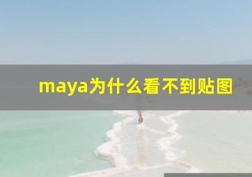 maya为什么看不到贴图