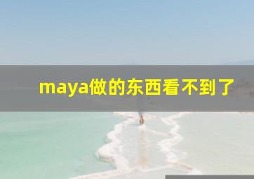 maya做的东西看不到了